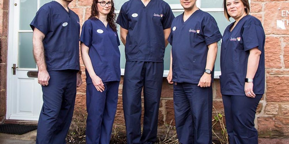 team at sandstone dental